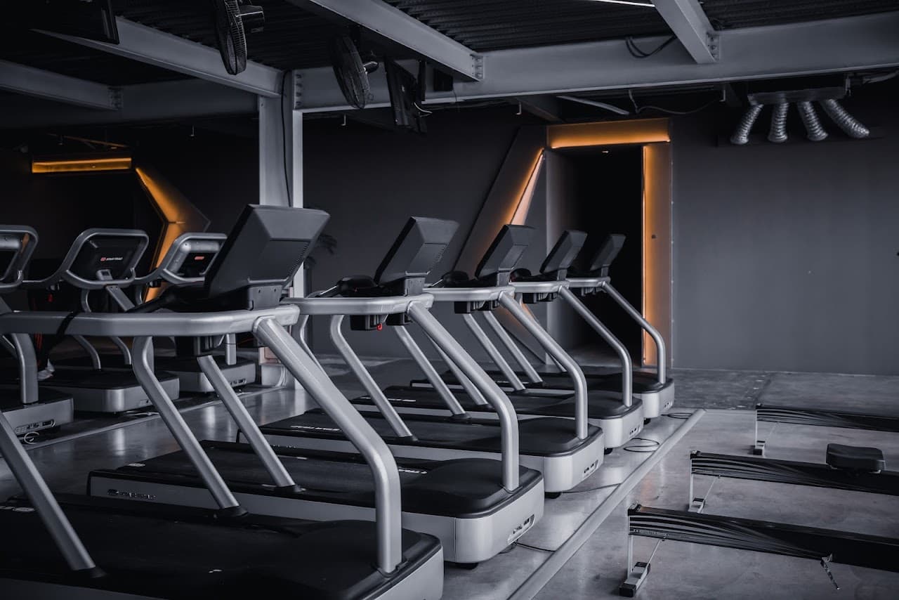 Arise Active