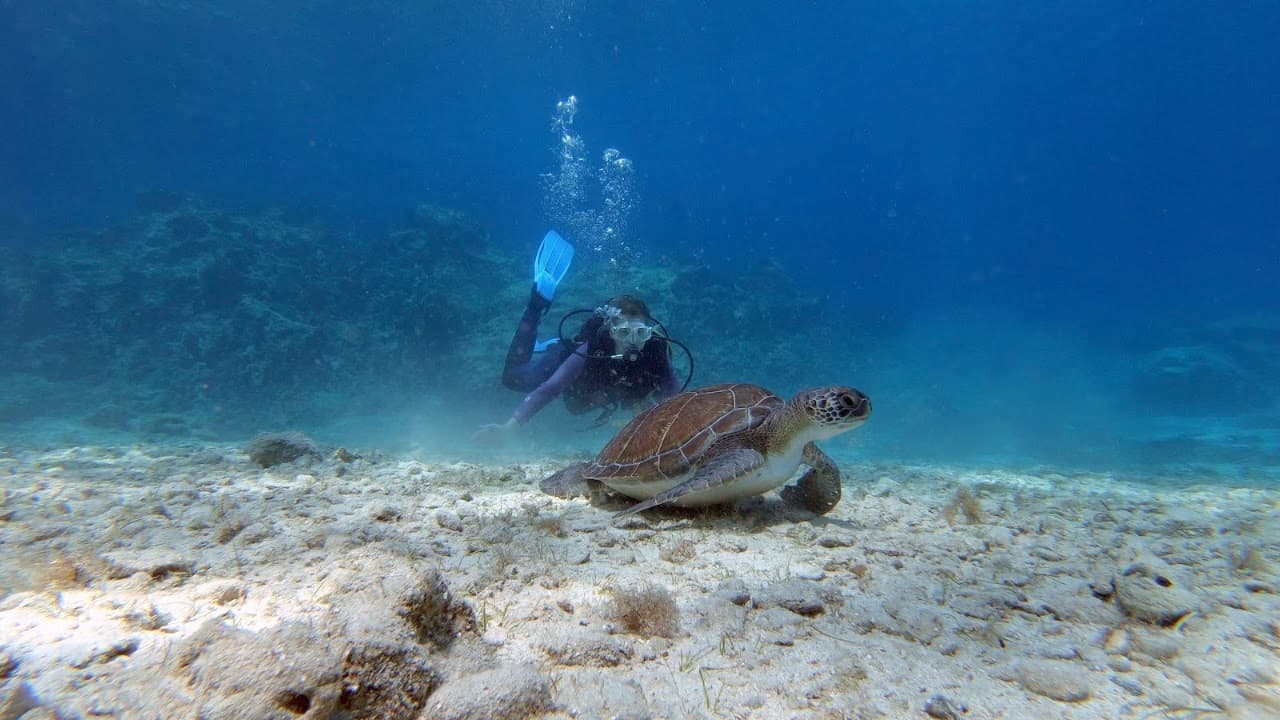 Cyprus Diving Centre