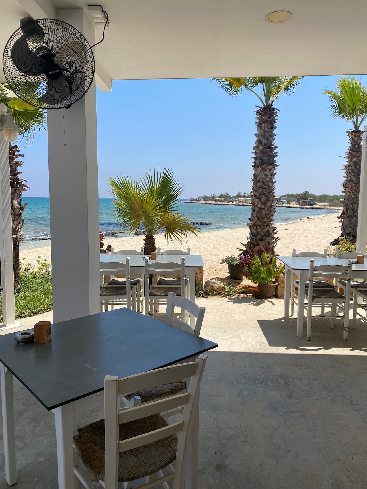 Fish Tavern Potamos