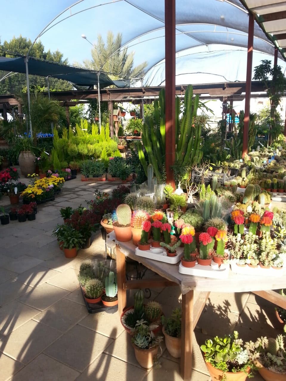 Gardens