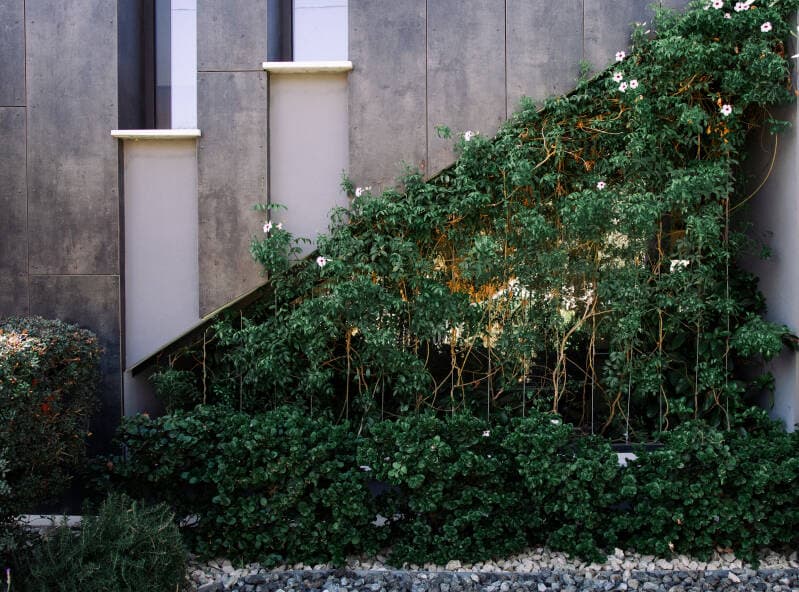 Green Planet Gardening