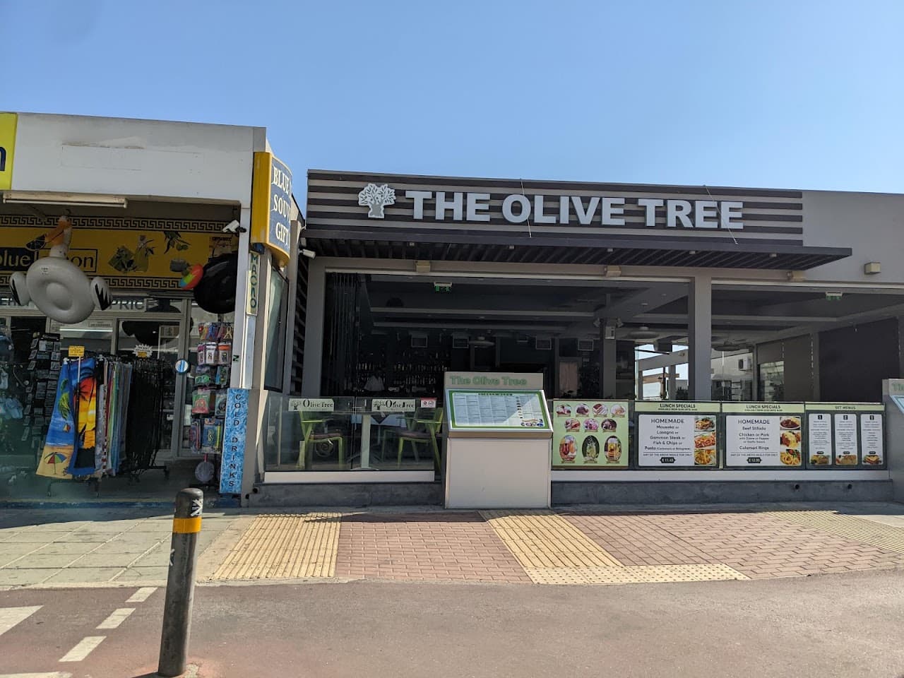 Olive Tree