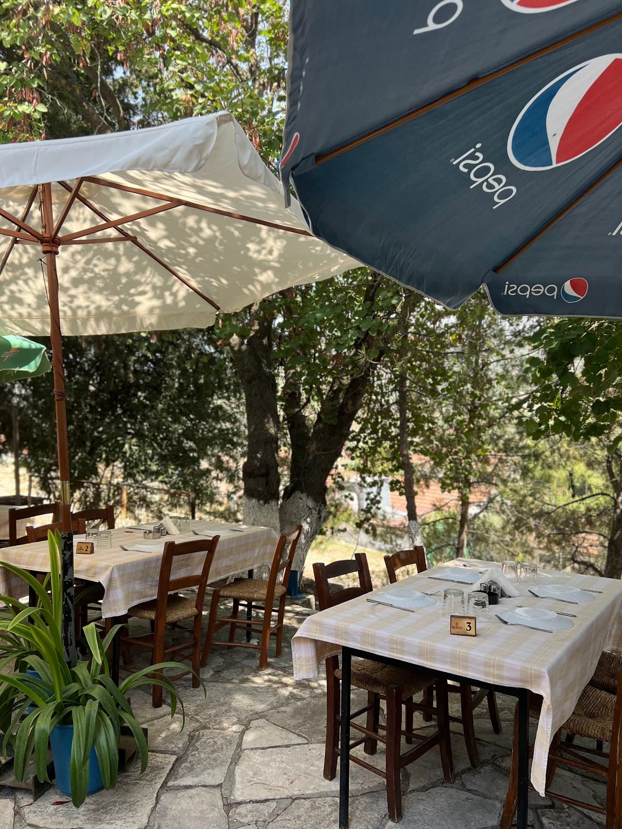 Omodhos Taverna